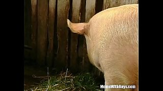 milf assfucked in barn