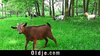 big dick fucking old pussy