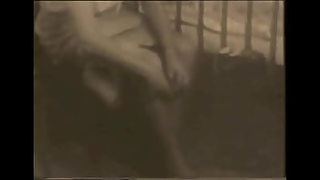 old streached out pussy destroyed
